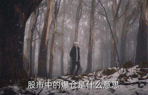 什么叫高杠杆爆仓股票，股市中的爆仓是什么意思