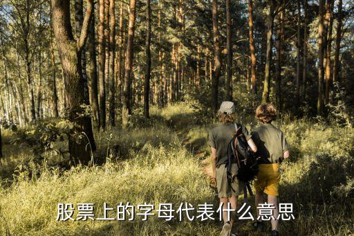 股票上的字母代表什么意思