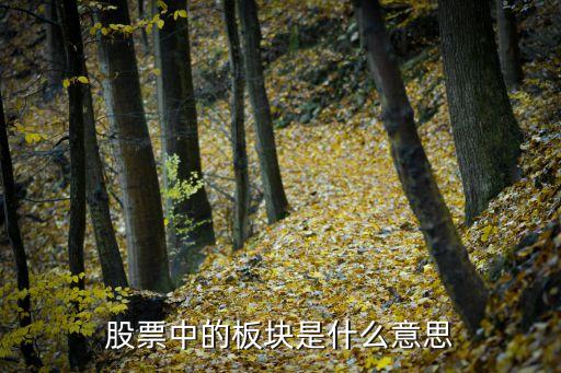 股票中的板块是什么意思