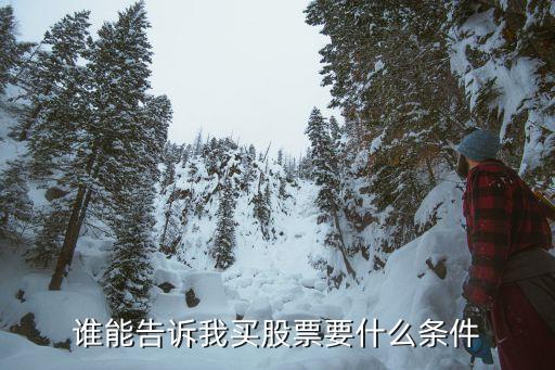 谁能告诉我买股票要什么条件