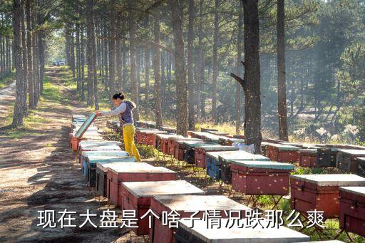 现在大盘是个啥子情况跌那么爽