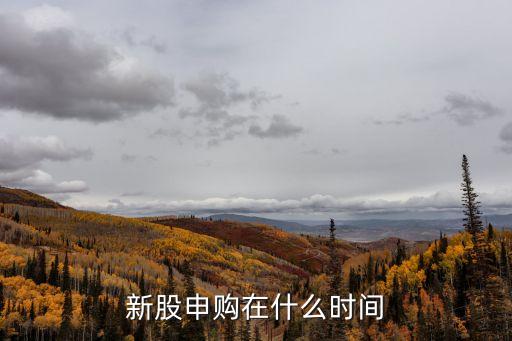 新股申购在什么时间