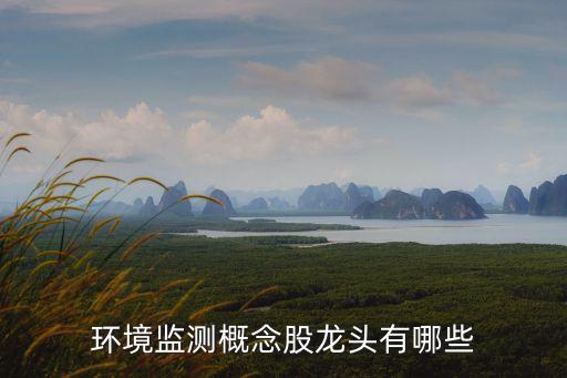 环境监测概念股龙头有哪些
