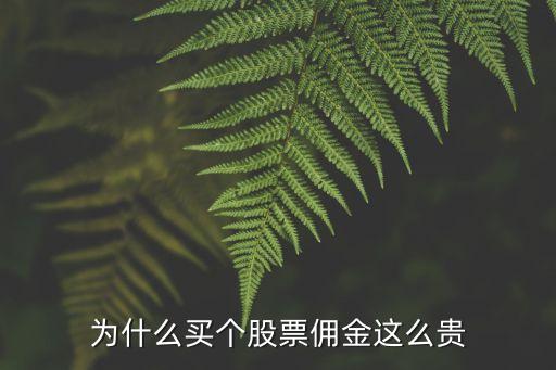 股票为什么给佣金那么高，为什么买个股票佣金这么贵