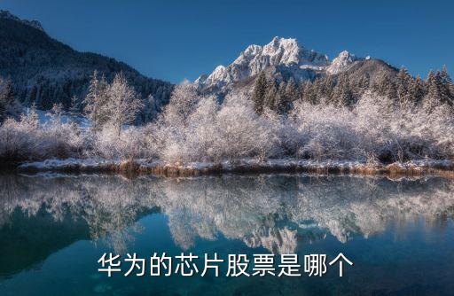 华为芯片的股票是什么股，华为的芯片股票是哪个