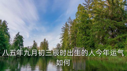 八五年九月初三辰时出生的人今年运气如何