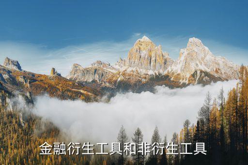 金融衍生工具和非衍生工具
