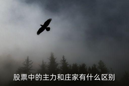 股票主力和控股有什么不同，股票中的主力是什么意思