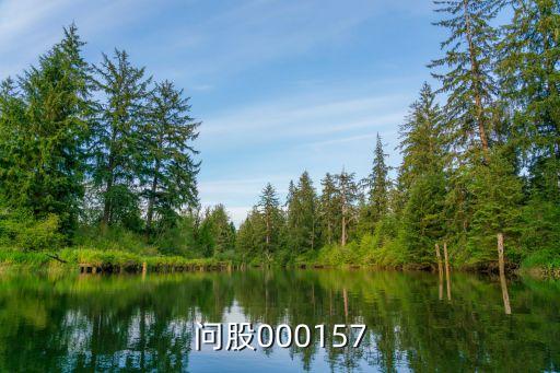 佳缘科股票是什么板块，问股000157