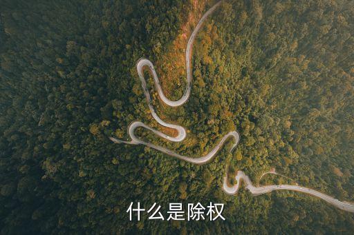 什么样的股票除权，什么是除权