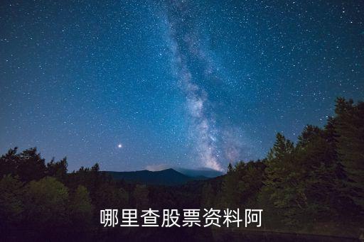 哪里查股票资料阿
