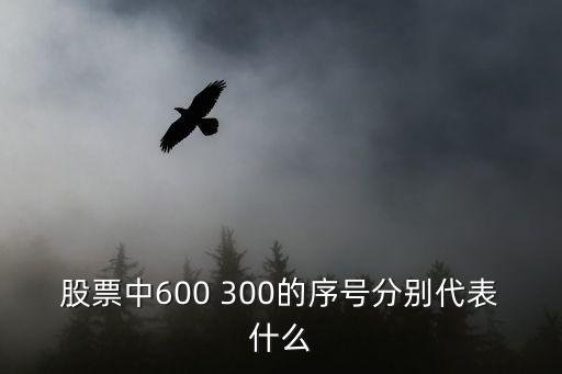 股票中600 300的序号分别代表什么