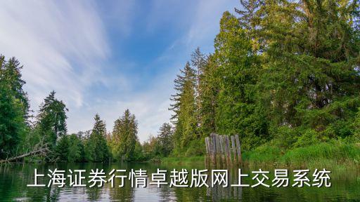 上海证券行情卓越版网上交易系统