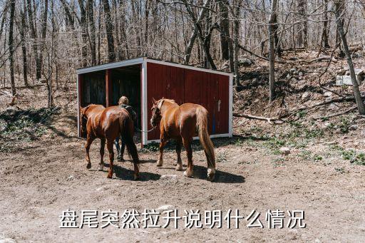 盘尾突然拉升说明什么情况