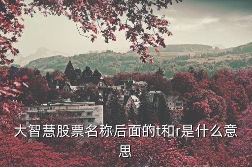 大智慧股票名称后面的t和r是什么意思