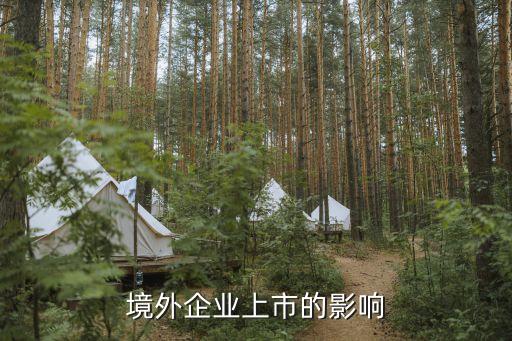 境外企业上市的影响