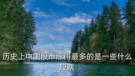 历史上中国股市涨得最多的是一些什么股票