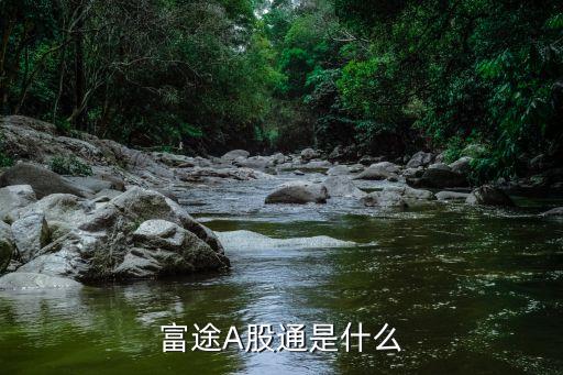 富途控股是个什么股票，富途证券怎样样富途的股东是谁