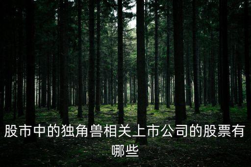 独角兽选什么股票好，独角兽的概念股票有哪些