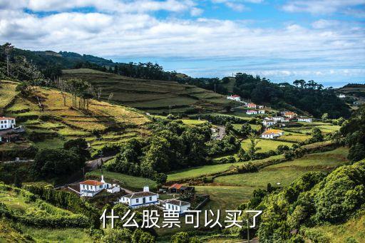 历史股票有什么行情可以买，股票接近历史最低价格可以买吗
