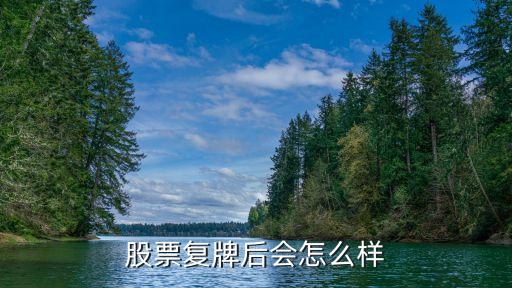股票复牌后会怎么样