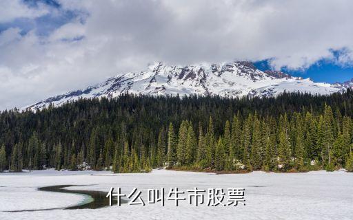 什么叫牛市股票