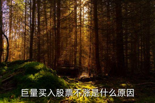 巨量买入股票不涨是什么原因