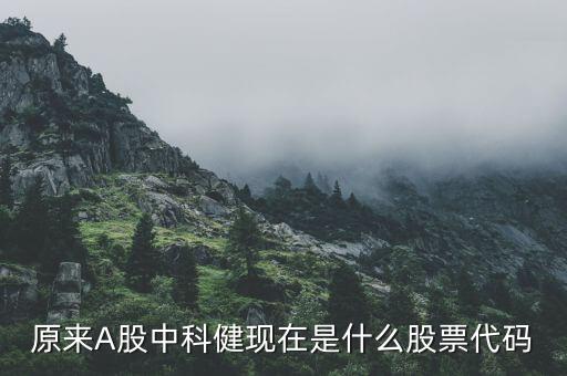 原来A股中科健现在是什么股票代码