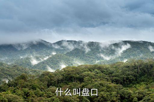 股票盘口什么意思，股票的盘口是什么意思