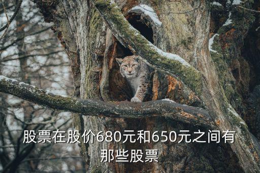 股票在股价680元和650元之间有那些股票