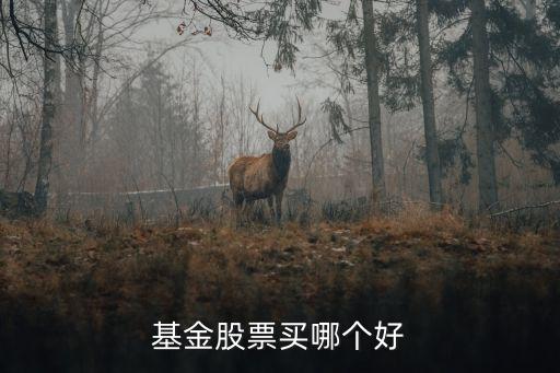 基金股票买哪个好
