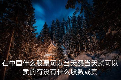 在中国什么股票可以当天买当天就可以卖的有没有什么股数或其