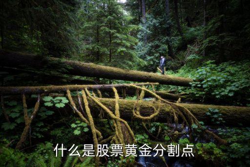 什么是股票黄金分割点
