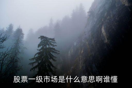 股票一级市场是什么意思啊谁懂