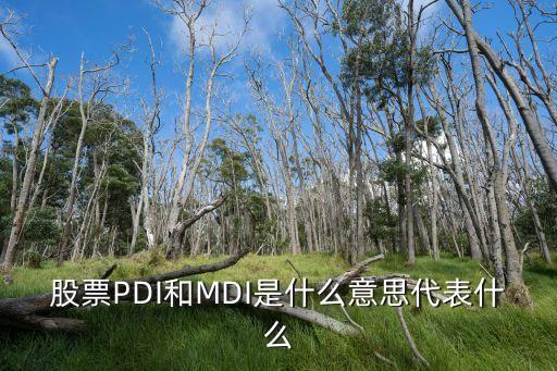 股票PDI和MDI是什么意思代表什么