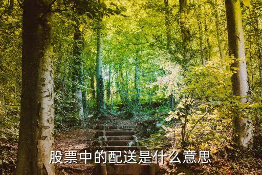 股票配送是什么，股票派送是什么意思怎么领取