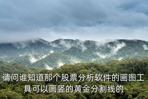 请问谁知道那个股票分析软件的画图工具可以画竖的黄金分割线的