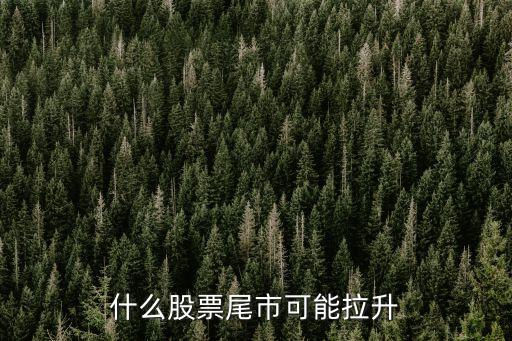 什么股票尾市可能拉升