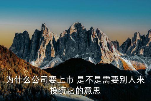 为什么公司要上市 是不是需要别人来投资它的意思