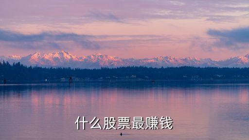 什么股票最赚钱