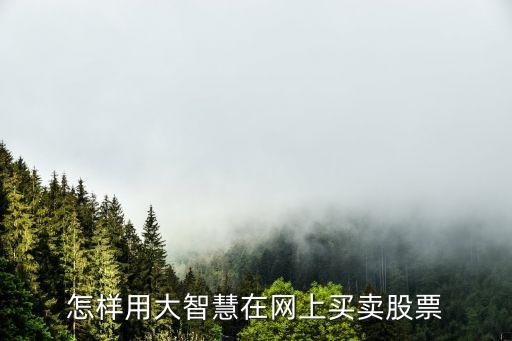 怎样用大智慧在网上买卖股票