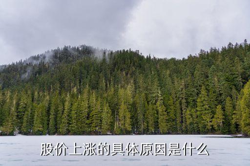 散户股票为什么会涨价呢，股票为什么会涨价