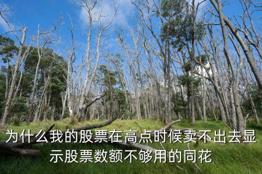 为什么我的股票在高点时候卖不出去显示股票数额不够用的同花