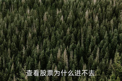 查看股票为什么进不去
