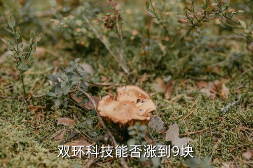 有什么股票能涨到9元，包钢股份这只股票能涨到9元吗