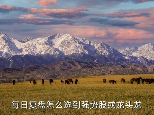 复盘最重要股票是什么，股票复盘的重点有哪些