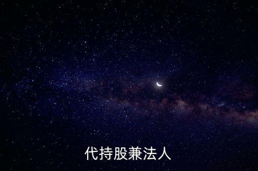 代持股兼法人
