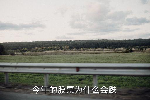 今年的股票为什么会跌