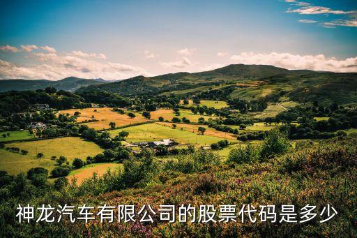 神龙汽车有限公司的股票代码是多少