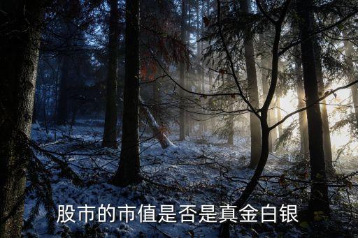 股票市值是真的吗为什么，股市的市值是否是真金白银